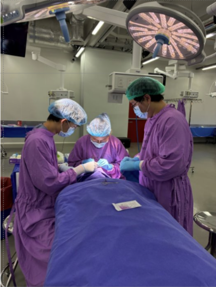 Ophthalmic Plastic and Reconstructive Surgery Training
